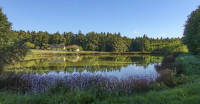 /album/entlang-der-teiche-und-uber-das-hugelland-nordlich-des-sulmtales-23-september-2026/st-martin-im-sulmtal-23-09-2026-25-jpg/
